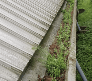 Happy customers in Chalfont St Giles who trust The Roof Moss Cleaners for gutter cleaning services
